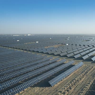 Rows of solar panels stretching to the horizon in a desert